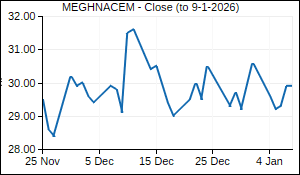 MEGHNACEM Closing Price