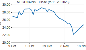 MEGHNAINS Closing Price