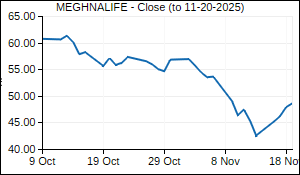 MEGHNALIFE Closing Price