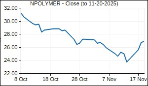 NPOLYMER Closing Price