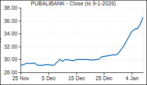 PUBALIBANK Closing Price