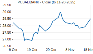 PUBALIBANK Closing Price