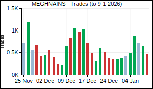 MEGHNAINS Trades
