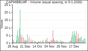 CAPMIBBLMF Volume